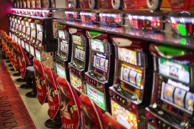 atatoto What Makes Bingo Stand Out